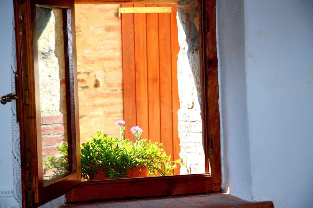 Photo of Others in Montieri