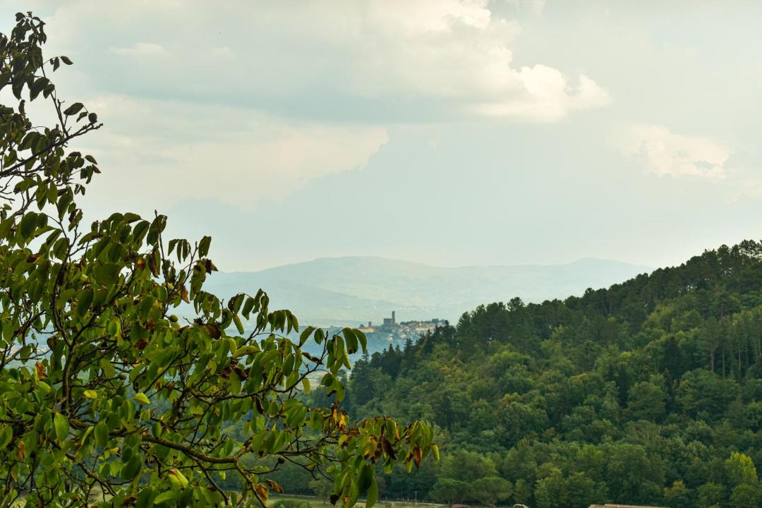 Photo of Others in Starda