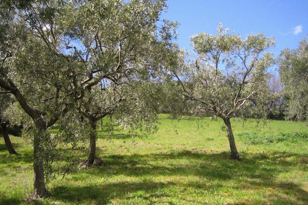 Photo of Others in Casabianca di Fermo