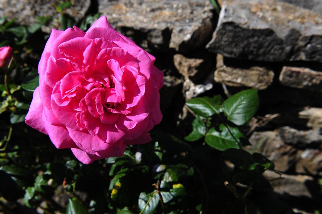Photo of Outdoor in Semproniano