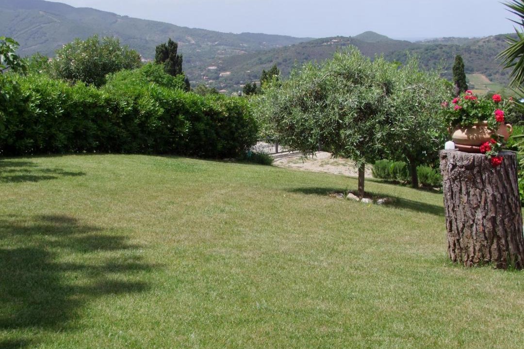 Photo of Others in Capoliveri