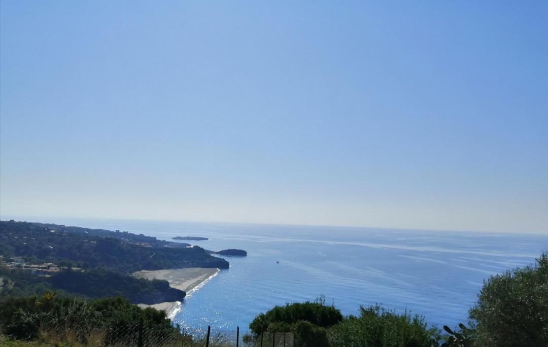 Photo of Others in Camerota