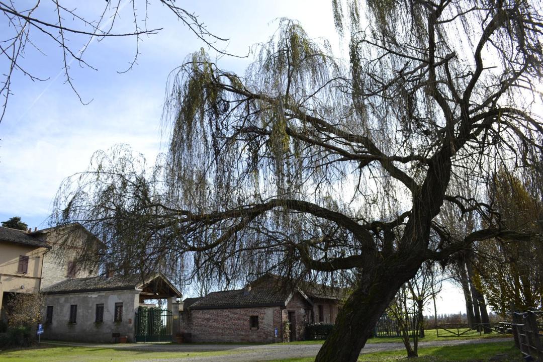 Photo of Others in Certosa di Pavia