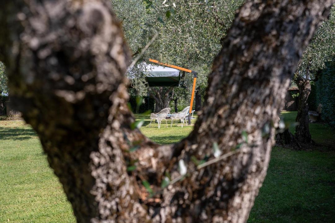 Photo of Others in Viterbo