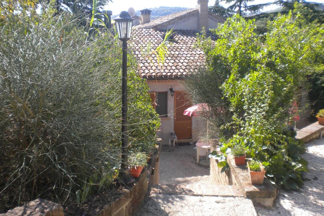 Photo of Others in Offagna