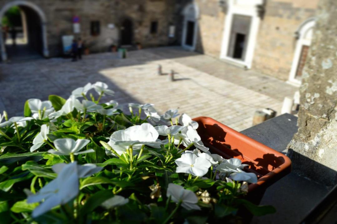 Photo of Others in Caserta Vecchia