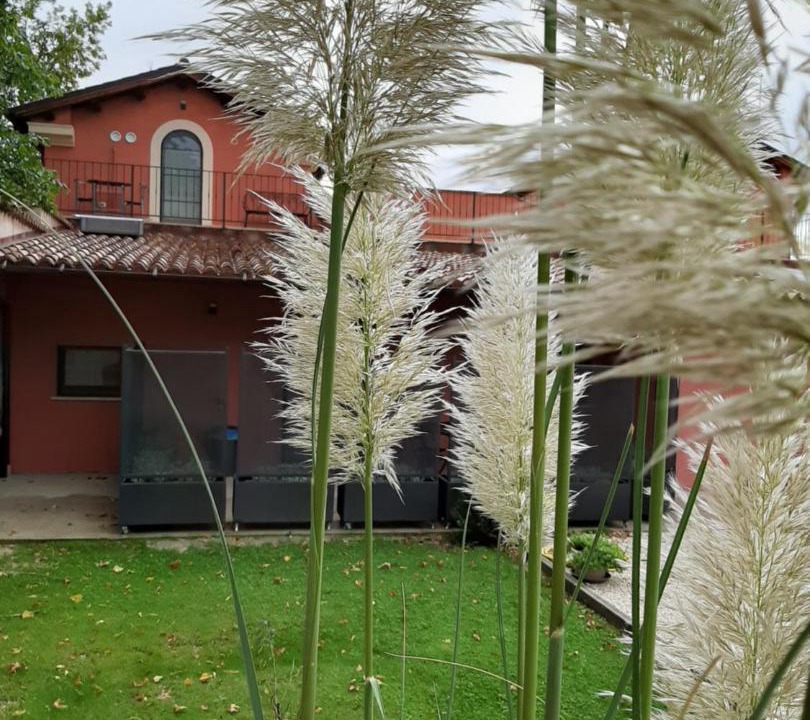 Photo of Others in Casali di Serravalle