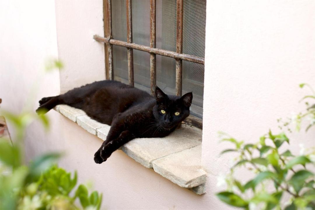 Photo of Others in Bastia Umbra