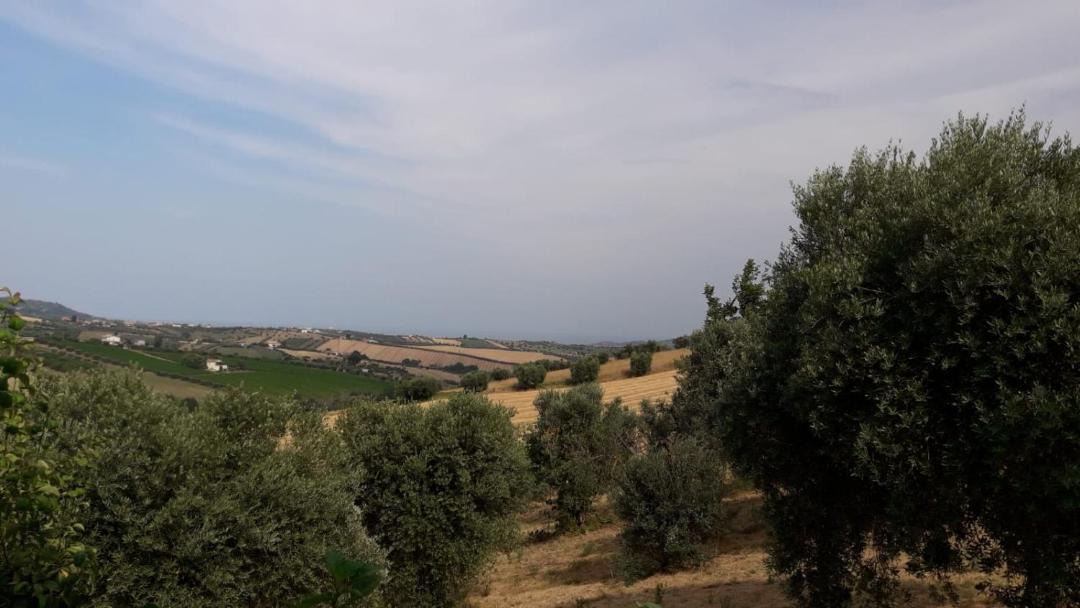 Photo of Outdoor in Controguerra