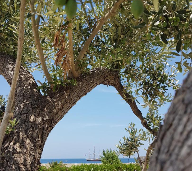 Photo of Others in Giovinazzo