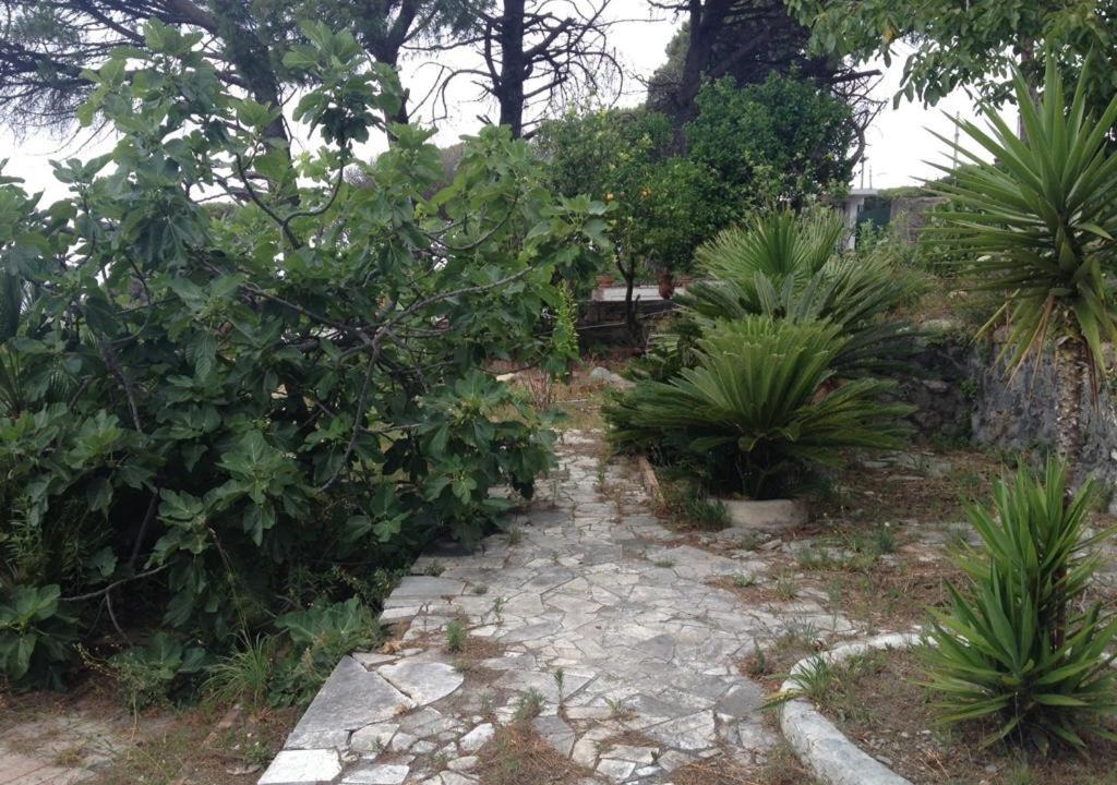 Photo of Others in Ercolano