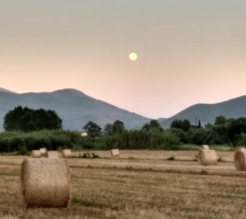 Photo of Others in Fondi