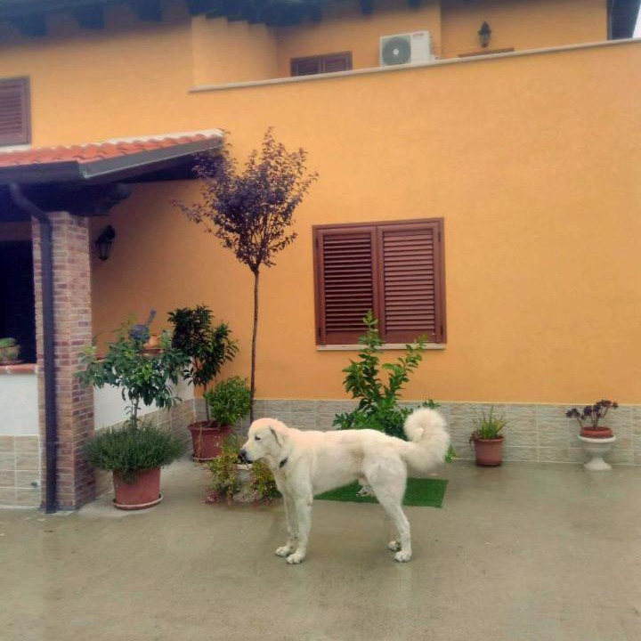 Photo of Others in Ortona
