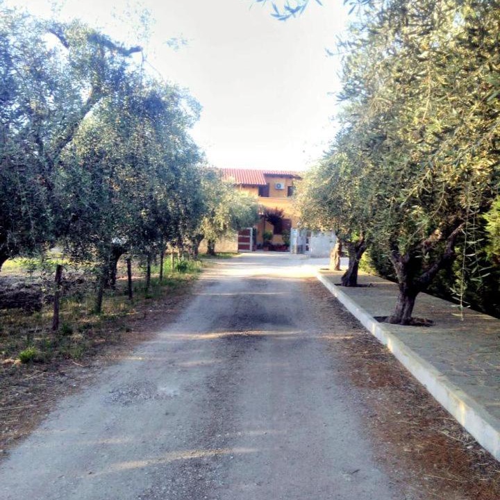 Photo of Others in Ortona