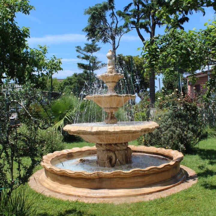 Photo of Outdoor in Pompei