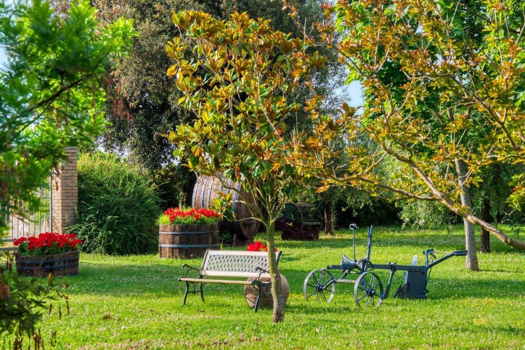 Photo of Others in Bettona
