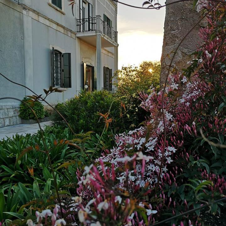 Photo of Others in Giovinazzo