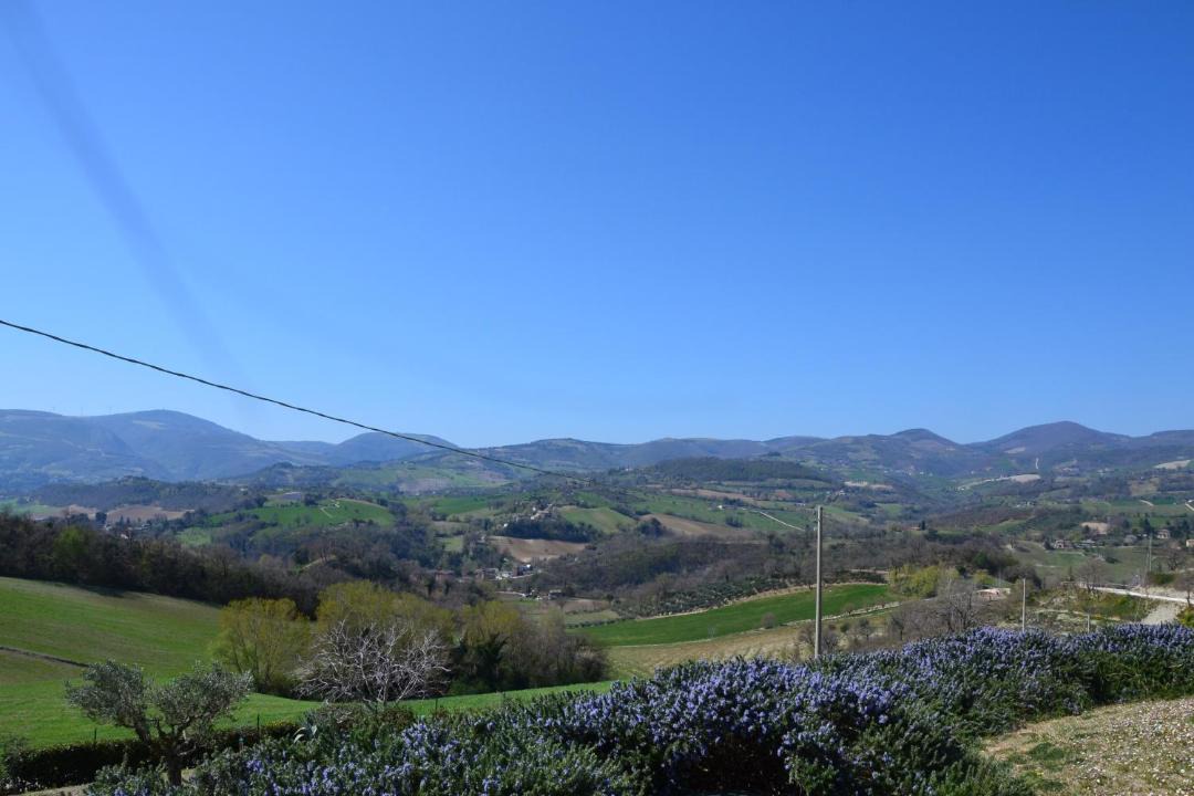 Photo of Others in San Severino Marche
