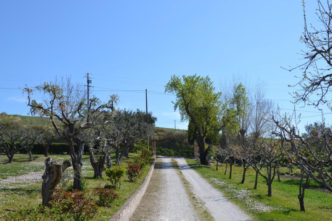 Photo of Others in San Severino Marche