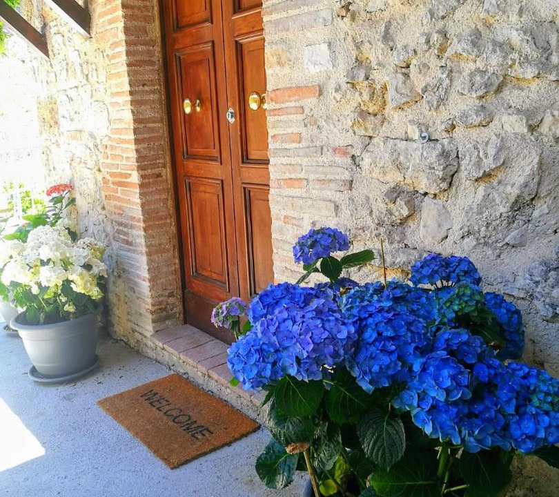 Photo of Others in Arrone