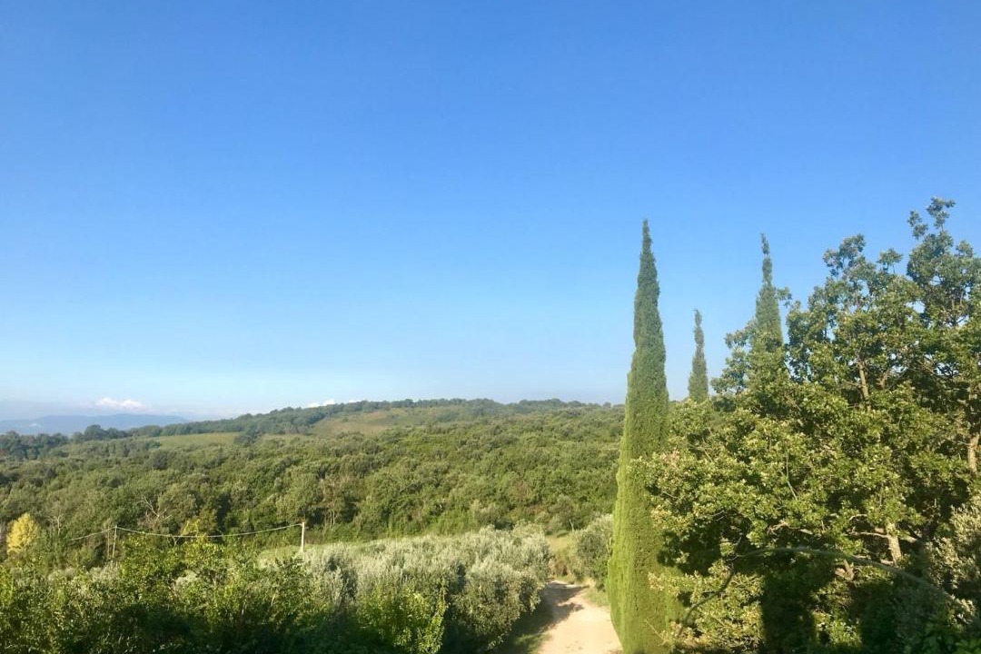 Photo of Others in Roccastrada