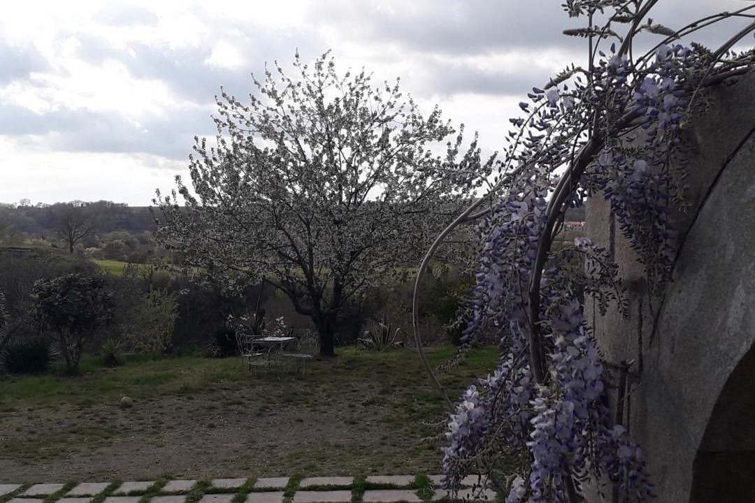 Photo of Others in Piansano