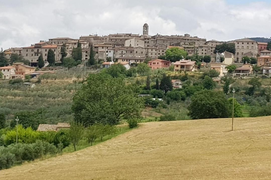Photo of Others in Montecchio
