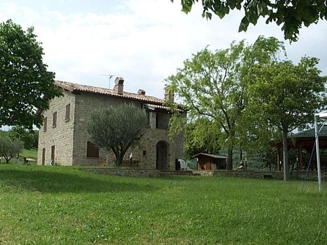 Photo of Others in Monteluiano