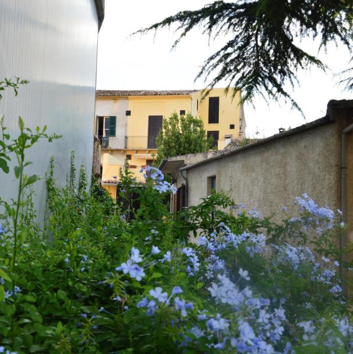 Photo of Others in Torre de' Passeri