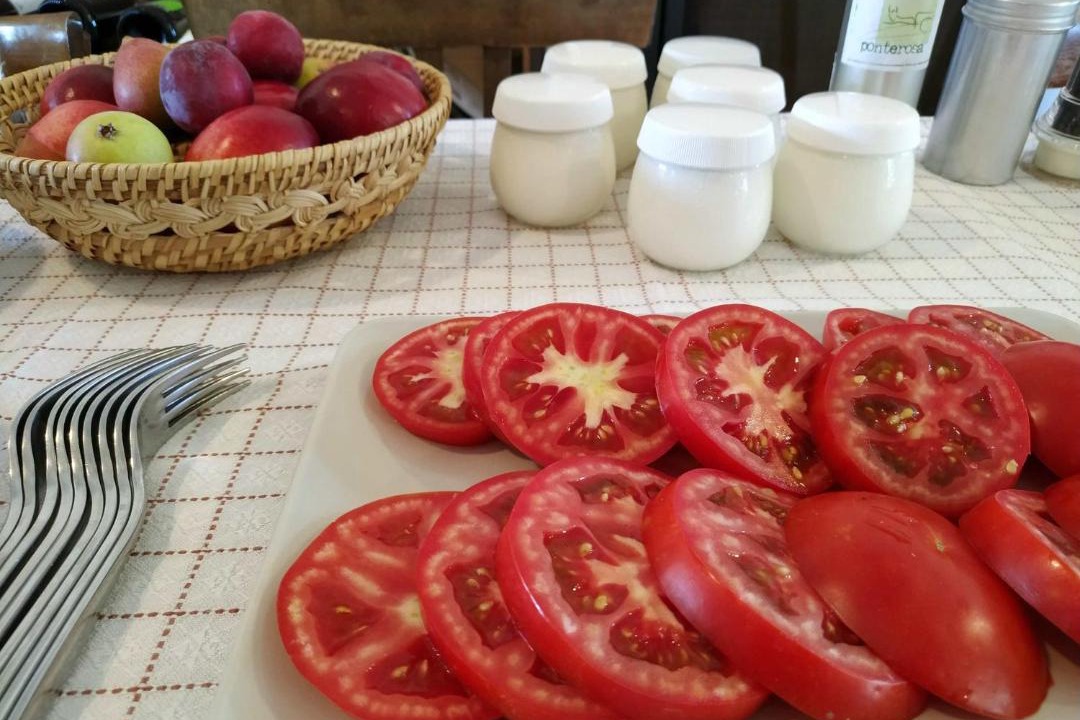 Photo of Kitchen in Morrovalle