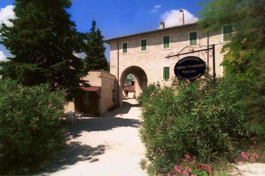 Photo of Others in Foligno