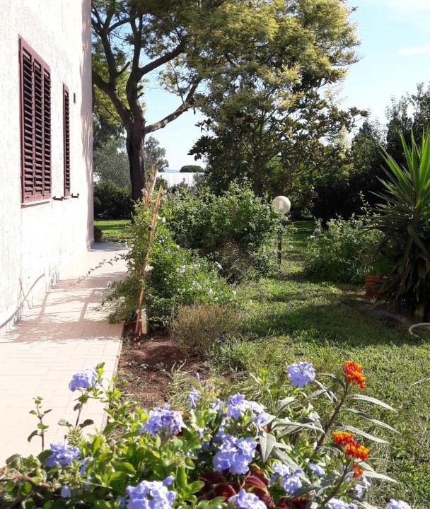Photo of Others in Grosseto