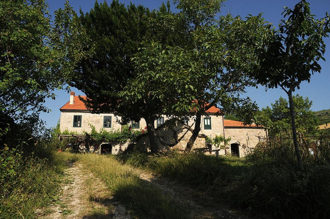 Photo of Others in Agnone