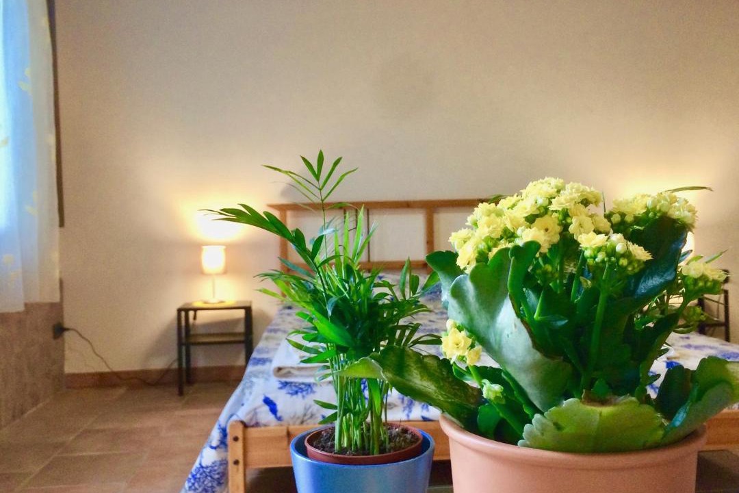 Photo of Livingroom in Gioi