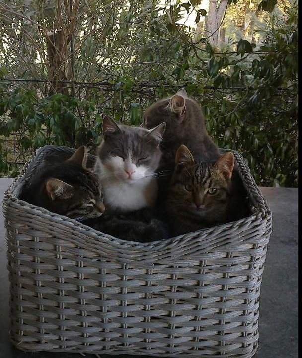 Photo of Others in Gavorrano
