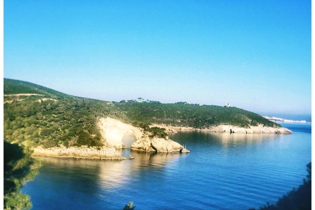 Photo of Others in Defensola