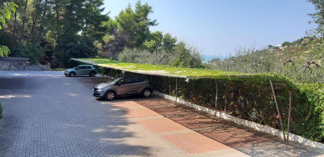 Photo of Others in Peschici