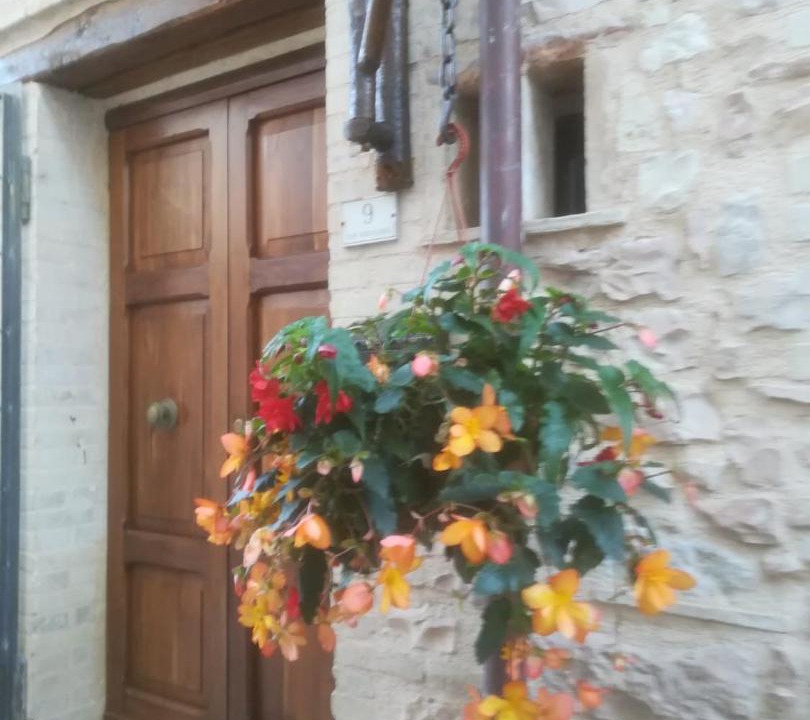 Photo of Others in Casenuove