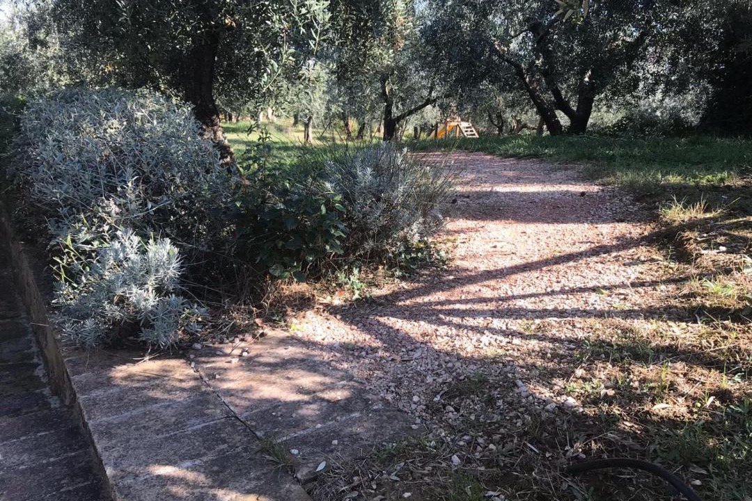 Photo of Others in Bettona