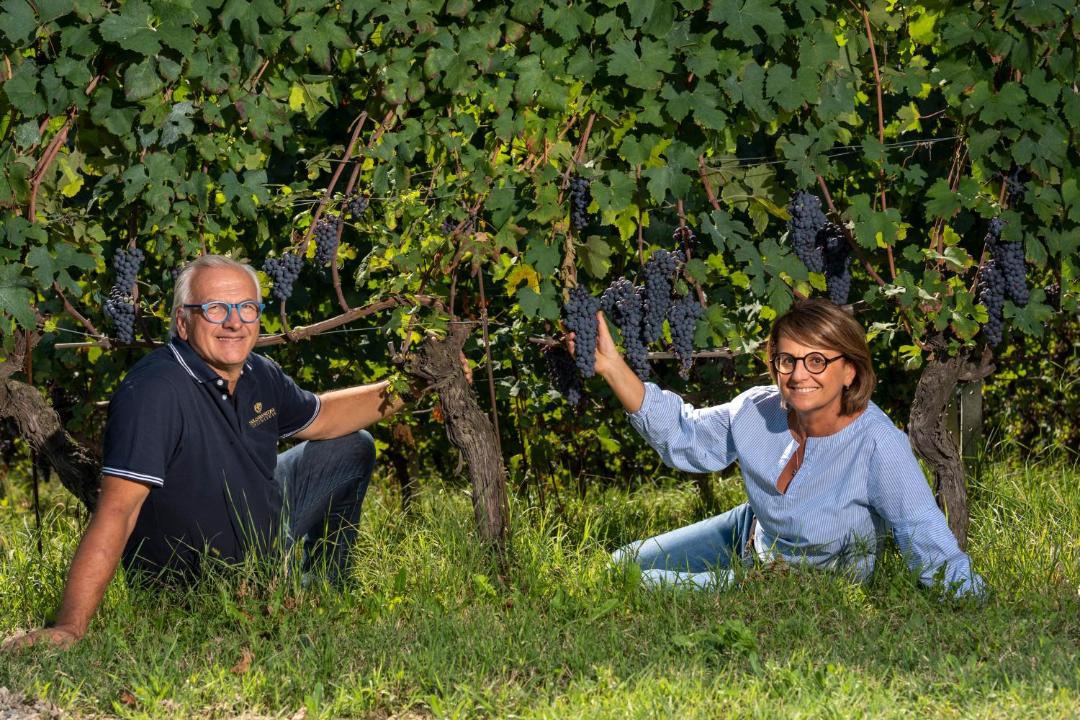 Photo of Others in Serralunga d'Alba