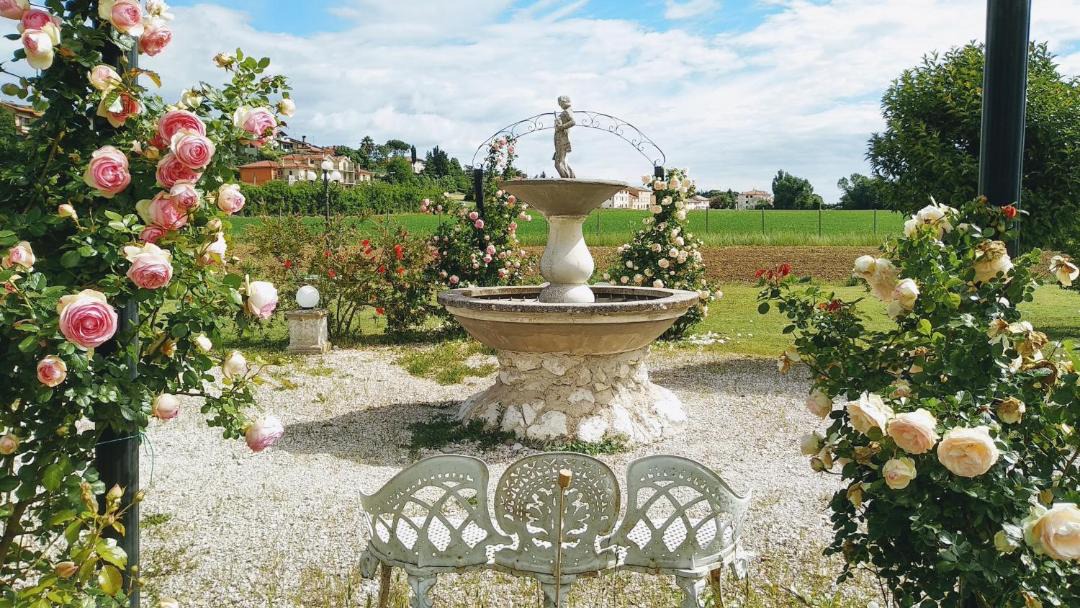 Photo of Others in Monte Porzio