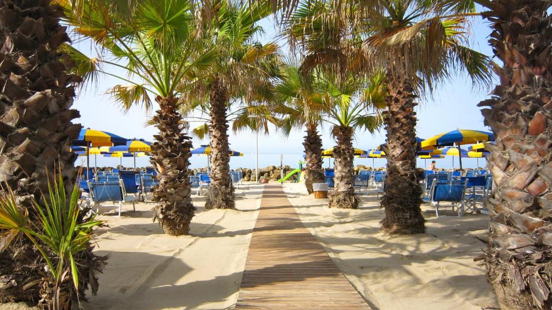 Photo of Others in Follonica