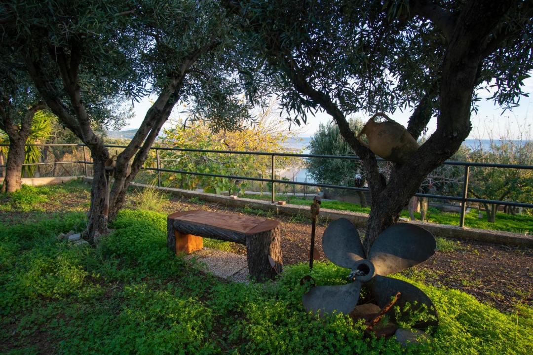Photo of Others in Camerota