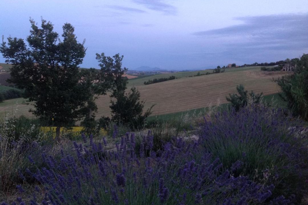 Photo of Others in Montelupone