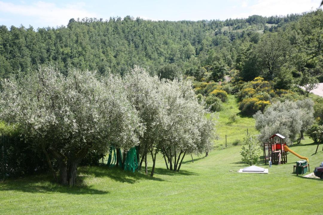 Photo of Others in Monteluiano