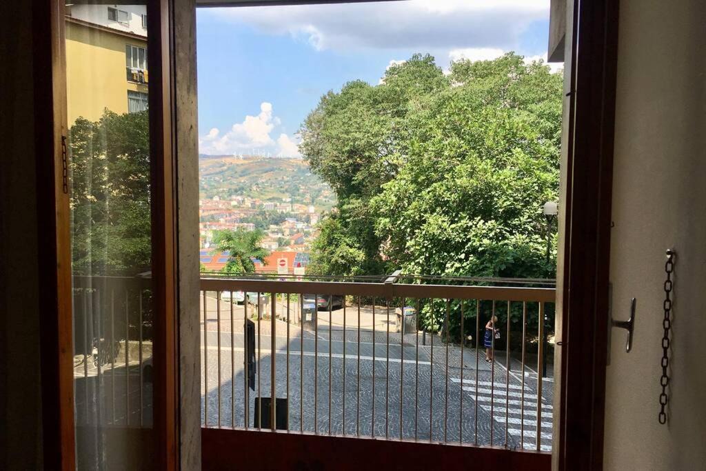 Photo of Others in Potenza