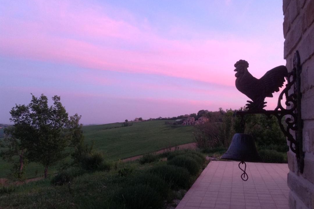 Photo of Others in Montelupone