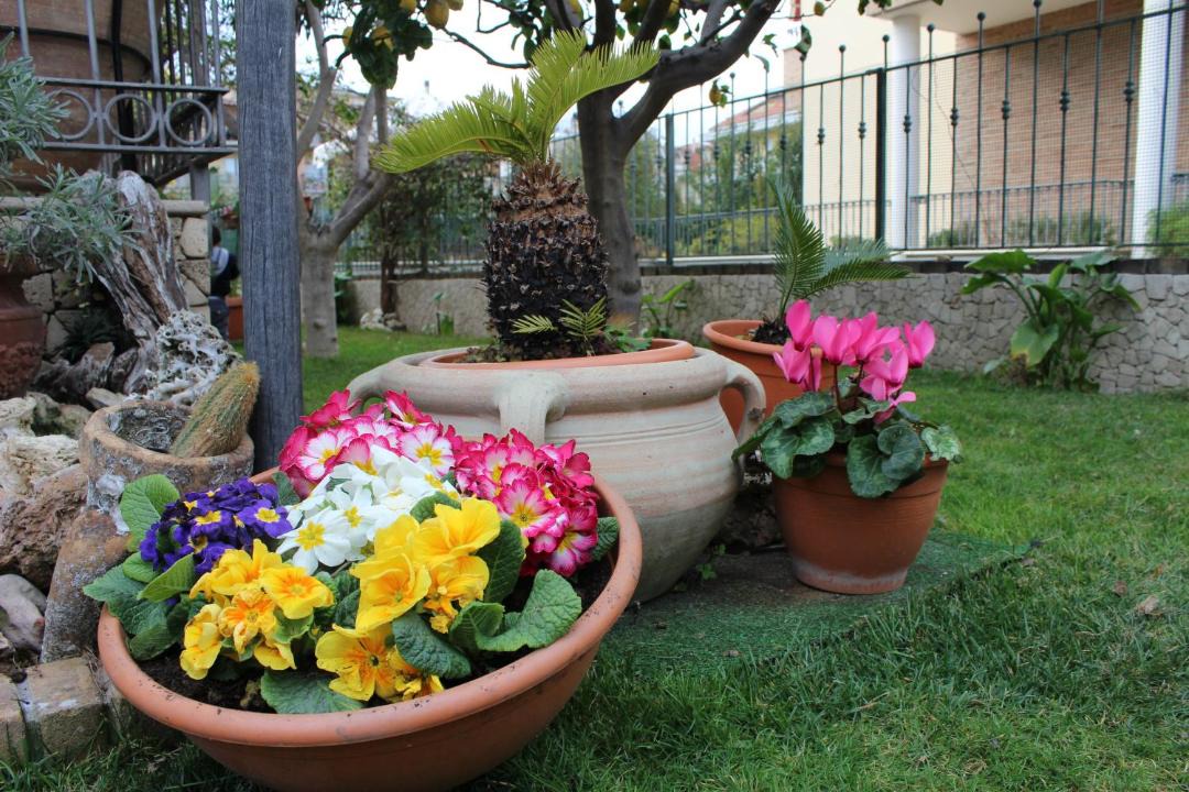 Photo of Others in San Benedetto del Tronto