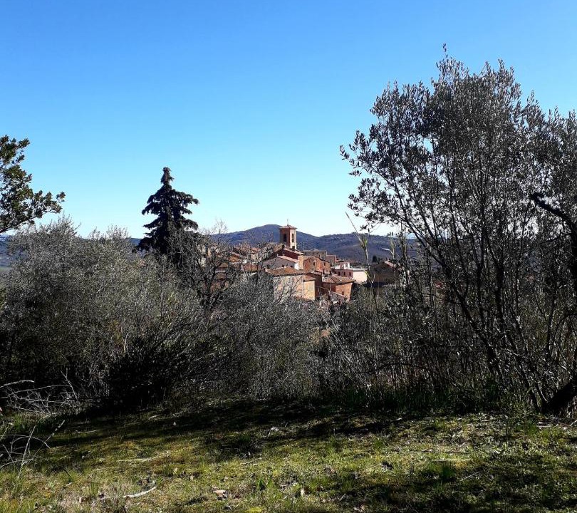 Photo of Others in Panicale