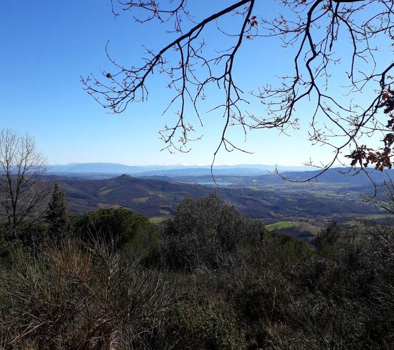 Photo of Outdoor in Panicale
